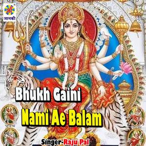 Bhukh Gaini Nami Ae Balam