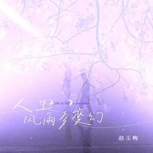 人生风雨多变幻 (DJ翊轩版伴奏)