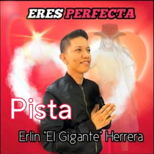 Eres perfecta (instrumental)