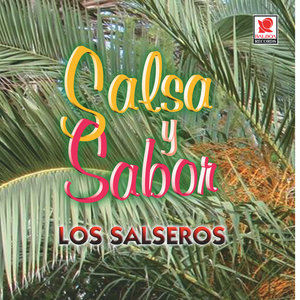 Salsa Y Sabor