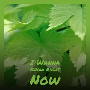 Left My Gal in the Mountains