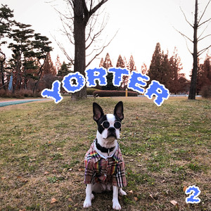 yorter 2 (Explicit)