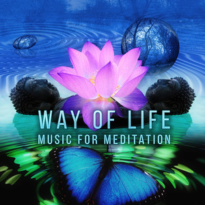 Way of Life Music 4 Meditation - Sound Therapy Music for Relaxation Meditation with Sounds of Nature, Soothing Chill Out Music for Yoga, Instrumental Music for Massage Therapy, Relaxing Flute & Piano Sounds