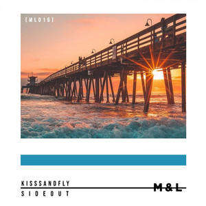 The Organ (Original Mix)