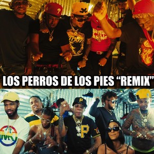 Los Perros de los Pies (Remix)