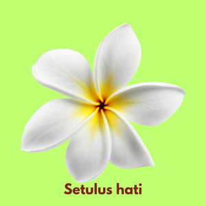 Setulus hati