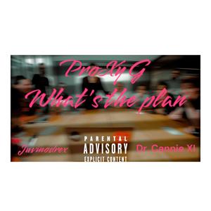 What's the plan? (feat. Juvinodrex & Doctor Cannie XI) (Explicit)
