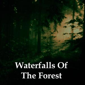 Waterfalls Of The Forest