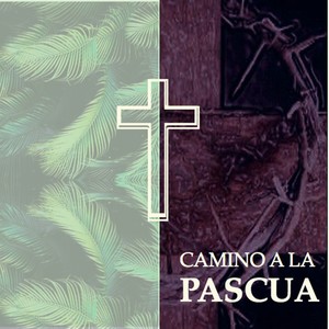 Camino a la Pascua (Miércoles de ceniza y domingo de ramos) [Acompañamiento Con Guitarra]