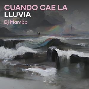 cuando cae la lluvia