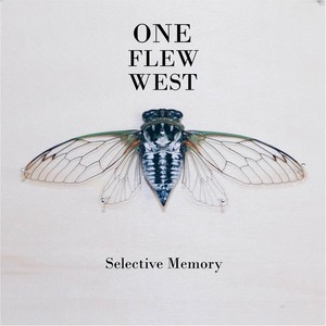 Selective Memory (Explicit)