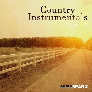 Country Instrumentals Volume 38