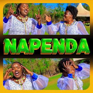 Napenda (feat. Carol Sision)