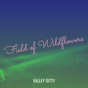 Field of Wildflowers