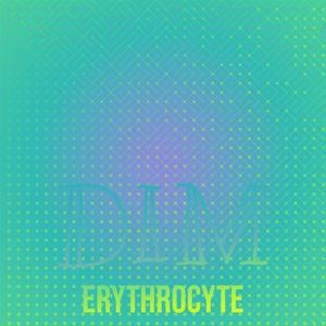 Dim Erythrocyte