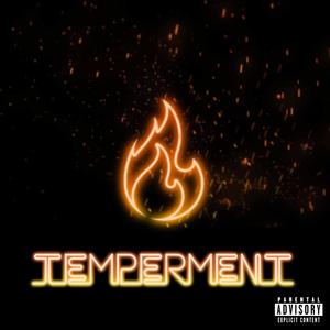 Temperment (Explicit)