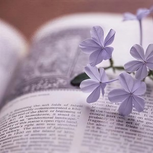 心愿便利贴-欣玥