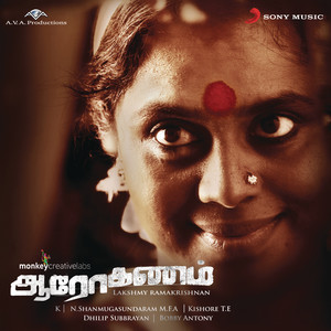 K - Dhisai Ariyaadhu