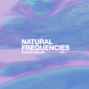 NATURAL FREQUENCIES V1