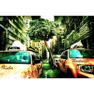 야상곡 (Nocturne)