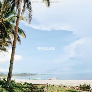 办公事务高尚的波萨诺伐舞曲