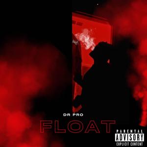 FLOAT (Explicit)