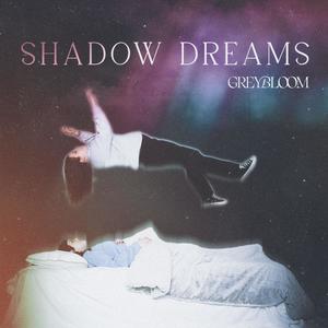 Shadow Dreams