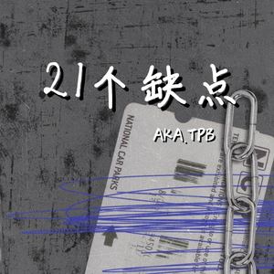 21个缺点