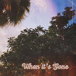 When it's Gone