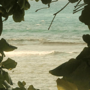 Mixed Reviews (Explicit)