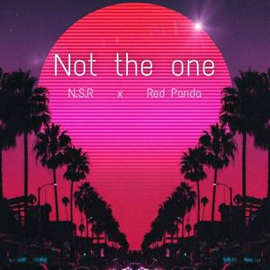 Not The One(feat. Red Panda) (Explicit)