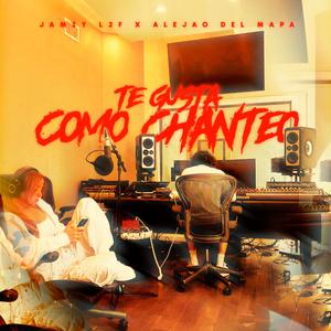 Te Gusta como Chanteo (feat. Alejao del Mapa & G en el Beat) (Explicit)