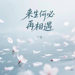 来生何必再相遇