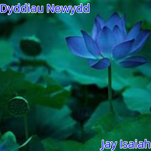 Dyddiau Newydd