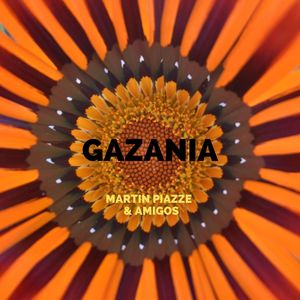 Gazania (Explicit)