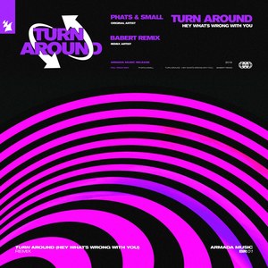 Turn Around (Hey What's Wrong With You) [Babert Remix]