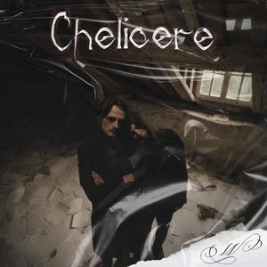 Chélicère (Explicit)