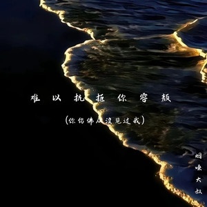 难以抗拒你容颜(你仿佛从没见过我) - 烟嗓大叔封面