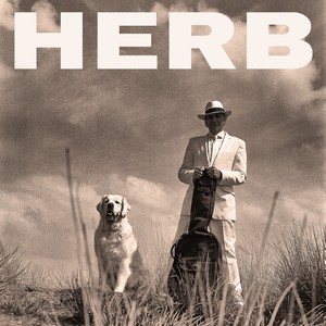 Waar Je Geweest Bent Vannacht