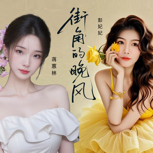 街角的晚风-彭妃妃&蒋蕙林