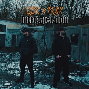 Introspection (Explicit)