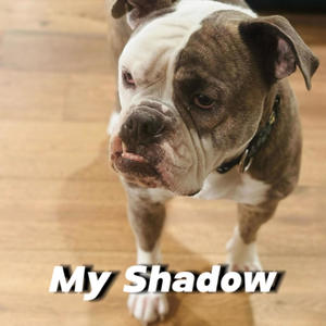 My Shadow