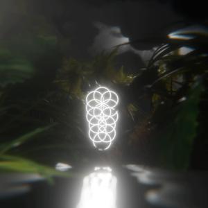 The Way Of The Jungle