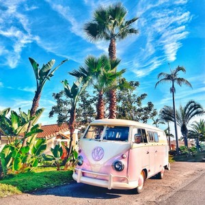 气质拿人 (DJ版)