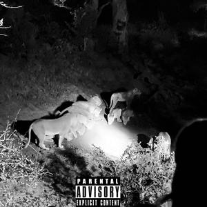 LAST YEAR (Explicit)