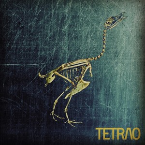 TETRAO V