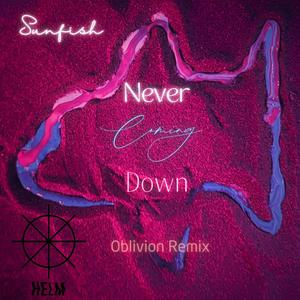 Never Coming Down (Oblivion Remix) [Explicit]