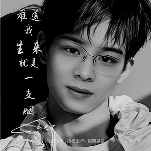 难道我生来就是一支烟 (Live)