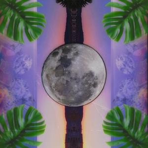 VANITY FAIR(feat. drtsnz)