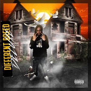 Different Breed (Deluxe) [Explicit]